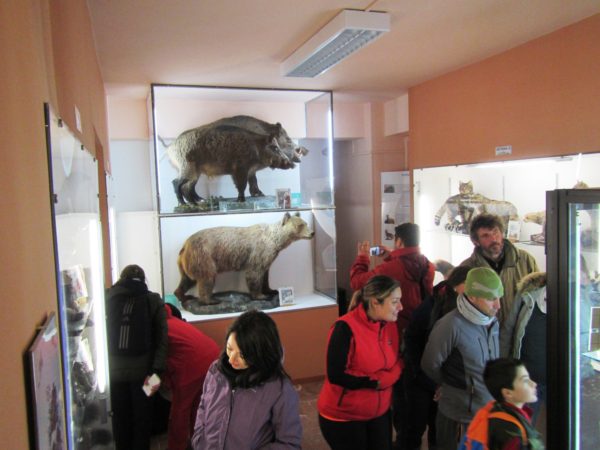 visita al museo naturalistico