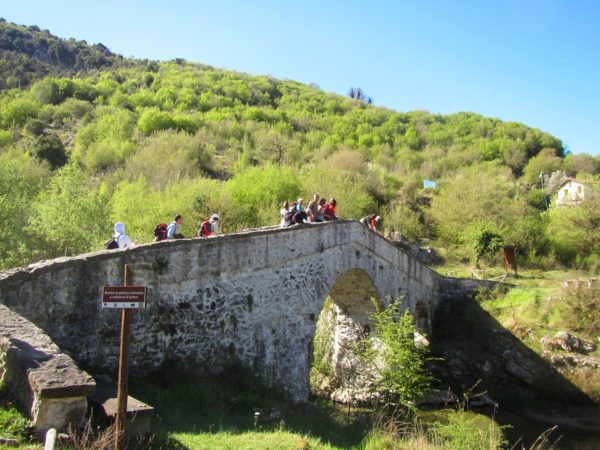 ponte a schiena d'asino