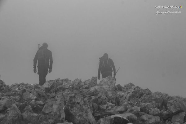 ... tra la nebbia