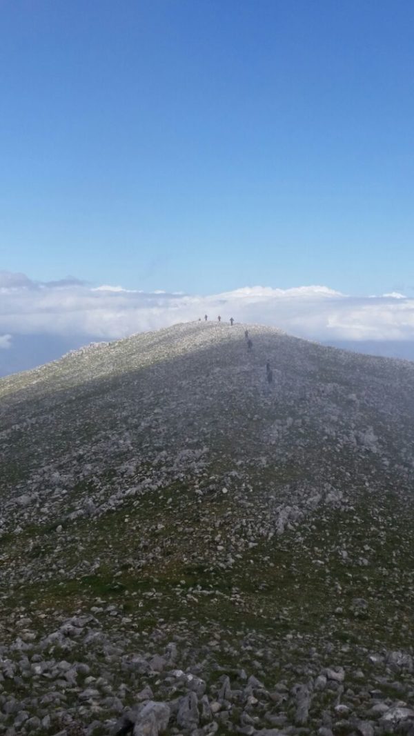 la cresta ... e noi in fila