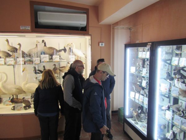 visita al museo di Corleto Monforte